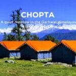 Chopta Travel Guide