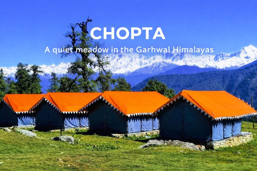 Chopta Travel Guide